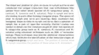 Description of Immature Stages of the Brown Dog Tick Rhipicephalus Sanguineus Acari Ixodidae Using S [upl. by Noroj702]