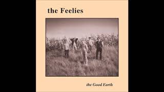 The Feelies  The Last Roundup [upl. by Arvy]