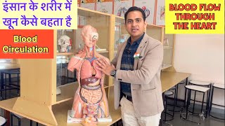 Full VideoHeart amp Blood Circulation  शरीर में खून कैसे कहाँ बहता है  Blood Flow Through The Heart [upl. by Solhcin]