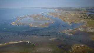 Deltanatuur in de Zuidwestelijke Delta  Christine Lammerts aan het woord [upl. by Jillene]