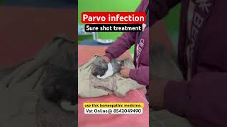 Parvo virus treatment at home [upl. by Woods85]