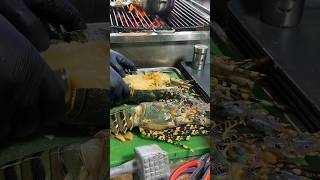 Must Eat Biggest Lobster BBQ food seafood lobster thailand [upl. by Glarum]