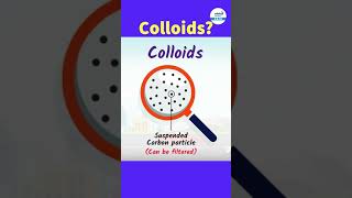 What Are Colloids Simple Definition and RealLife Examples  fog shorts  InfinityLearn910 [upl. by Treharne257]