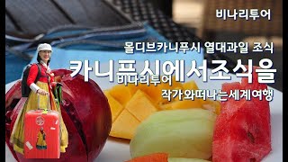 몰디브여행 몰디브 카니푸시에서 조식을 싱싱한 열대과일 지천 카니푸시 에메랄드 빛 앞바다비나리투어 여행디자이너 신점숙작가와 떠나는 세계여행 여행가 한복여행가 [upl. by Mastrianni]