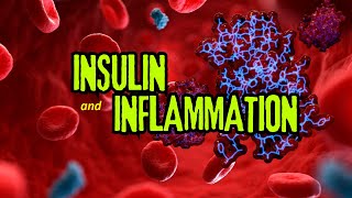 Insulin and Inflammation [upl. by Itnahsa913]