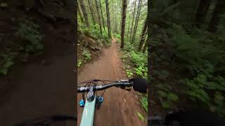 A classic MTB trail in the PNW [upl. by Anawyt991]