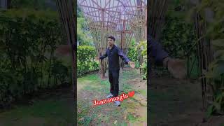 Jaan maagla😘 love vairalvideo ytstuduo saptarishivnathvlogs bhojpuri trendingshorts song [upl. by Eiramanel]