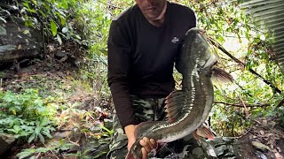 Giăng Câu Ngầm Sông Đồng Nai Săn Lùng Cá Lớn Fishing Camping in the forest [upl. by Isidoro617]