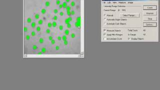 Threshold amp Measure Objects  ImagePro Plus Software [upl. by Legyn65]