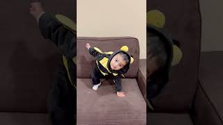 Bumble bee 🐝 shorts short halloween shortvideo shortsfeed [upl. by Fairbanks690]