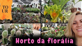 Horto da florália e orquidário  fiz um tour pra vocês [upl. by Reivazx351]