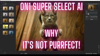 ON1 Super Select AI review and how well it works in ON1 Photo Raw 2023 [upl. by Kassandra]