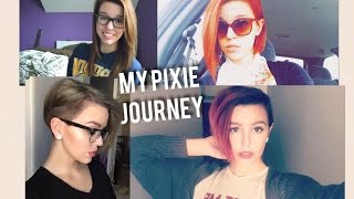 My Full Pixie Journey  Including Progress Pics [upl. by Atiuqcir]