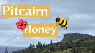 Pitcairn Island Pitcairn Honey 🐝 [upl. by Ardie]