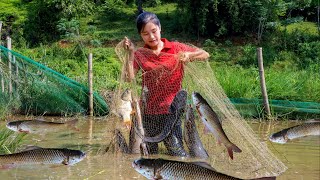 Harvest CATFISH goes to the market sell  Ella Daily Life [upl. by Kcirrek557]