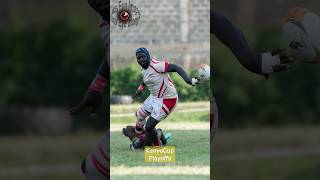 Quins vs Nondies Picture Pile [upl. by Urban]