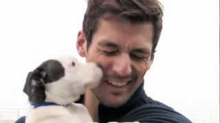 David Gandy and Battersea Dogs amp Cats Home [upl. by Leina345]