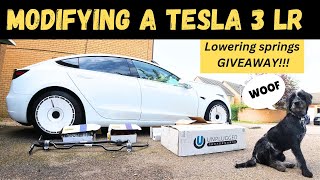 The Quest for Speed Tesla Model 3 Modification [upl. by Yadseut]