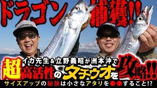 【船タチウオ】大阪湾テンヤタチウオの名手がイカ先生とタチウオを徹底攻略（立野義昭＆富所潤編）【ドラゴン級も登場】 [upl. by Navonod]