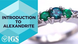 All About Alexandrite The Rare and Enchanting Gemstone  Expert Insights and Facts [upl. by Avehstab]