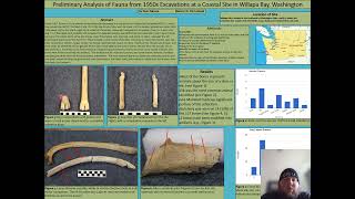 Preliminary Analysis of Fauna from 1950s Excavations at a Coastal Site in Willapa Bay Washington [upl. by Ivor]