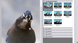 Apply a Filter in Photoshop CS3 [upl. by Towland]