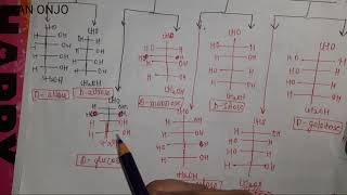 carbohaydrates TRICK to draw different types of aldoses and ketoses sugar  very easy trick [upl. by Habeh]