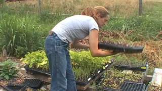 More Women Running US Farms [upl. by Lorene386]