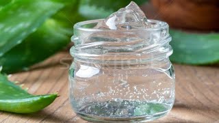 How to make aloe vera gel and store it for years [upl. by Eisle]