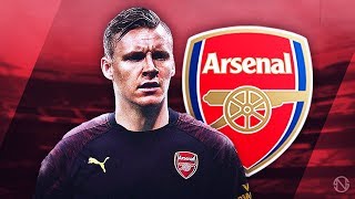 BERND LENO  Welcome to Arsenal  Crazy Saves amp Reflexes  2018 HD [upl. by Olvan]