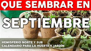 Calendario de Siembra 2023 Que sembrar en SEPTIEMBRE en el Huerto de Verano y de Invierno [upl. by Cath]