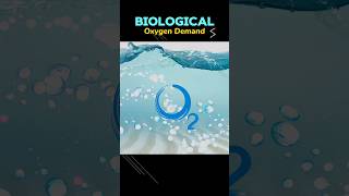 BIOLOGICAL OXYGEN DEMAND BOD bod biologicaloxygendemad  WHAT IS BOD viral shorts treanding [upl. by Sucramd891]