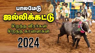 Palamedu Jallikattu  சீறிப்பாயும் காளைகள் அடக்கும் காளையர்கள் பாலமேடு ஜல்லிக்கட்டு  Vikatan [upl. by Nima]