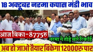 नरमा कपास किसानों के लिए खुशखबरी भाव में होगी तूफानी बढ़ोतरी  cotton price narma kapas ka bhav [upl. by Bellew379]