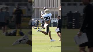 Saints Training Camp Highlights 8142024 saints nfl shorts [upl. by Kcirdet]