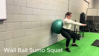 Wall Ball Sumo Squat [upl. by Menashem]