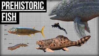 Largest Prehistoric Fish  Size Comparison [upl. by Elwood]