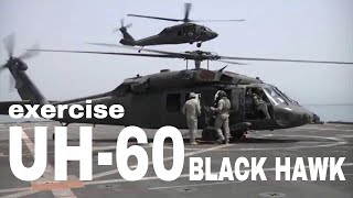 UH60 BLACK HAWK EXERCISE IN ACTION [upl. by Juliet]