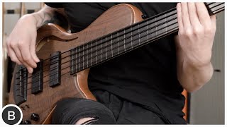 ADAMOVIC HOLLOW33  Concept Bass [upl. by Miett]