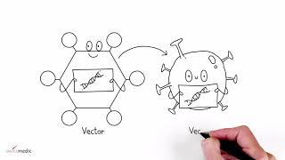 How a vector vaccine works [upl. by Elohcin215]