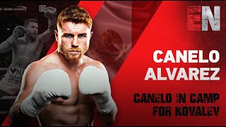 Canelo vs Kovalev I Fight Of The Year I Highlights amp BTS [upl. by Neeham]