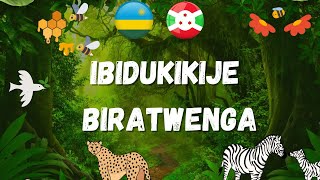 Indirimbo Ibidukikije biratwenga [upl. by Rimma]