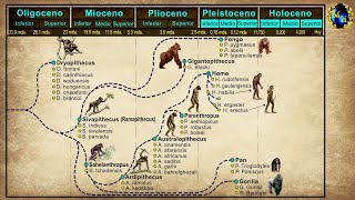 El Proceso de Hominización [upl. by Idnerb]