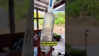 Transformando garrafas de cerveja GRATUITAS em DINHEIRO shortsfeed viralvideo [upl. by Koral47]