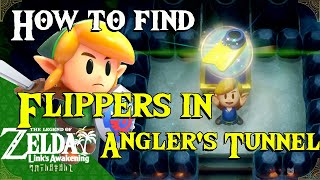 How to get Flippers in Anglers Tunnel in Links Awakening [upl. by Huberty170]