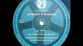 Q Project amp Spinback  Pleasure Principle [upl. by Weirick]