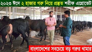 ২০২৩ ঈদে ২ হাজার সুন্দর সুন্দর গরু নিয়ে প্রস্তুত শরীফ এগ্রোভেট। বাংলাদেশের সবচেয়ে বড় গরুর খামার [upl. by Zamora989]