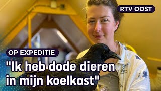 Prepareren Yana 20 is dol op het opzetten van dieren  RTV Oost [upl. by Vrablik]