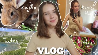 SUMMER VLOG koniec školy Tatry zajace a moc moc kecania o rastlinkách 🍉🌱🍍 [upl. by Ennaer]