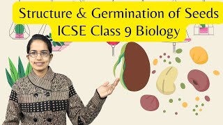 Structure amp Germination of Seeds  Epigeal Hypogeal  ICSE Class 9 Biology  SOF  NTSE  NSTSE [upl. by Monia]